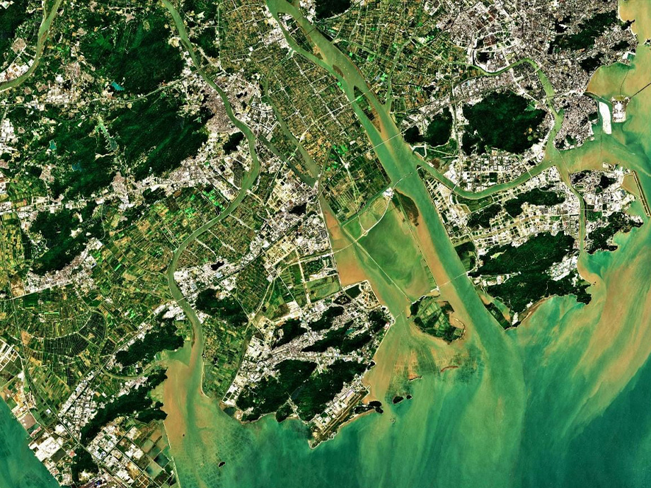 overhead shot of ground