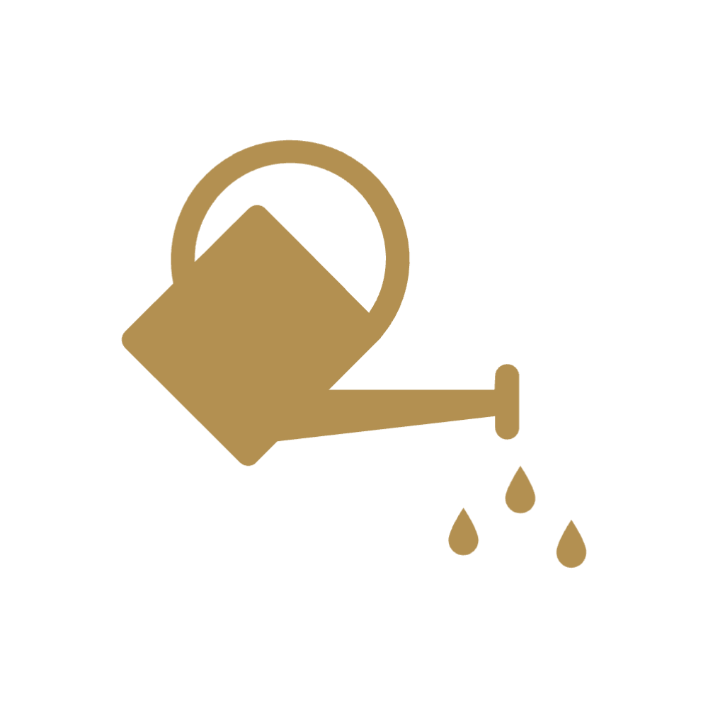 Watering can icon